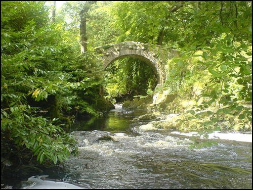 Tollymore