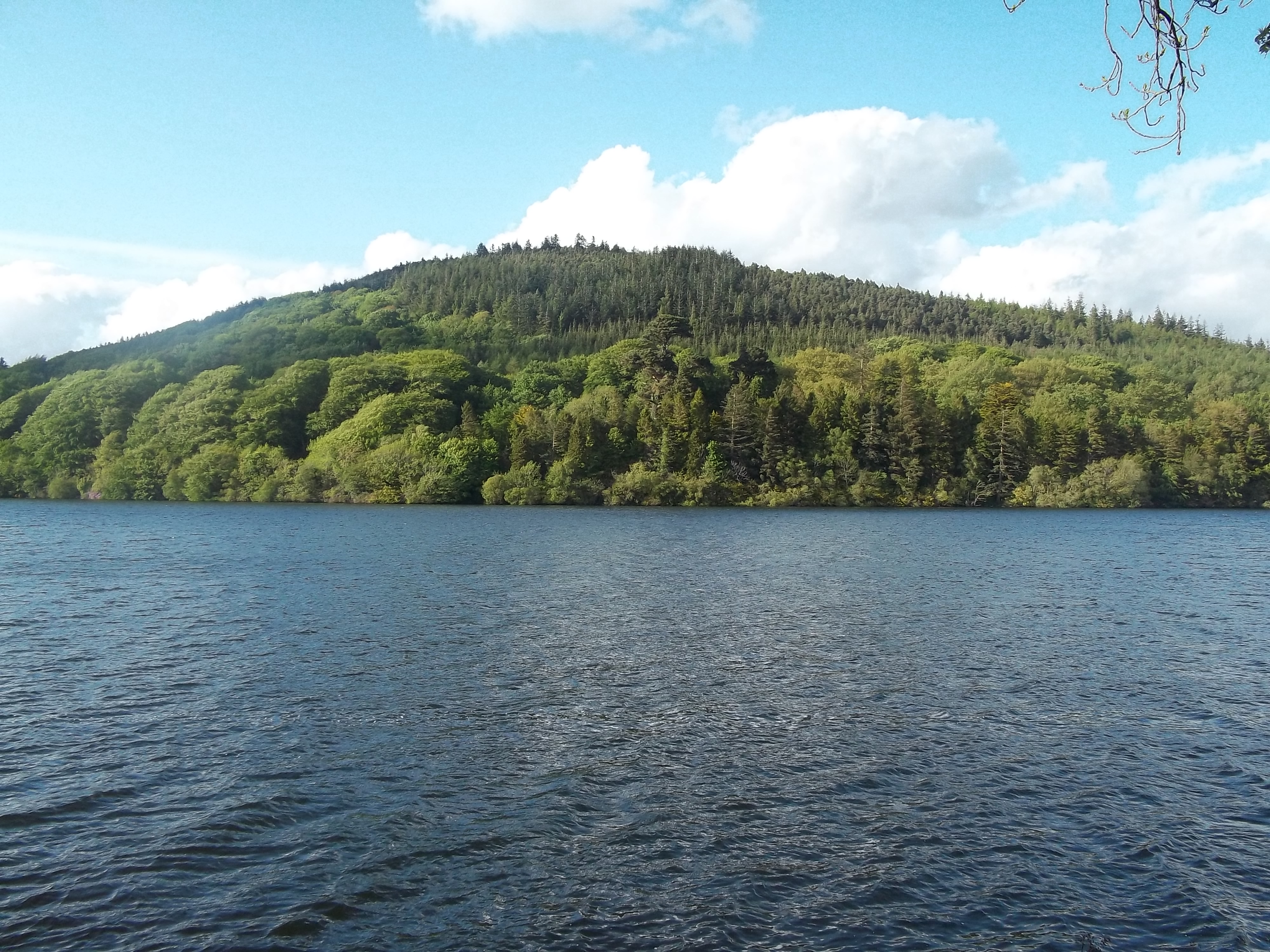 Castlewellan